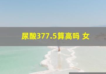 尿酸377.5算高吗 女